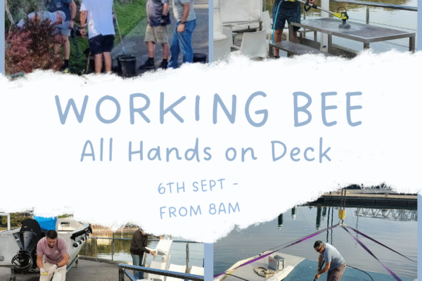 Working Bee – 6th September